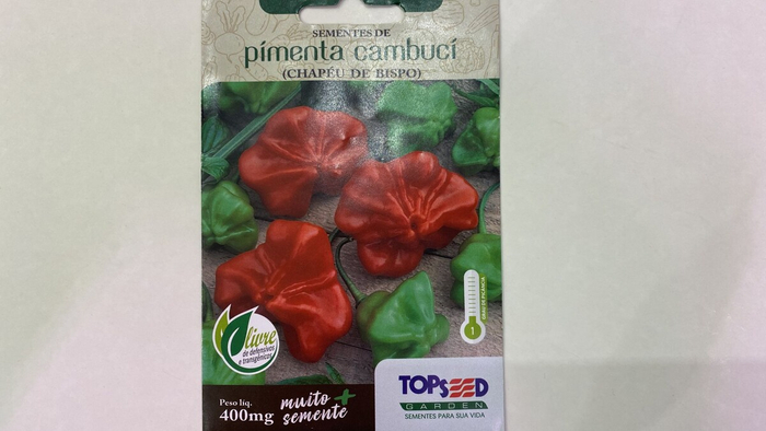 ���� �����, ������� �������...