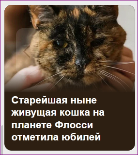 ��� �� ������� ������ � ��� ��� ���������?