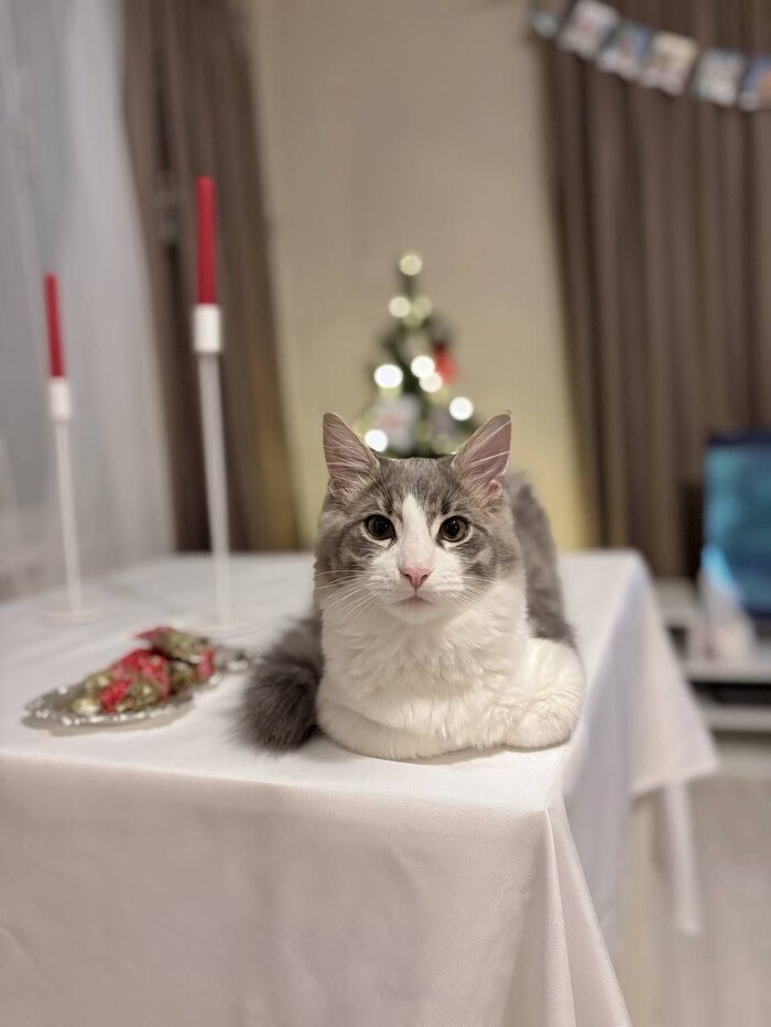 Привет из дома от Персея