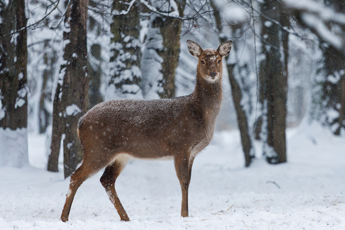 ������� � ����