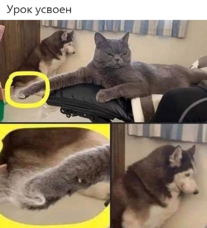 Реклама: ООО "АЛИБАБА.КОМ (РУ)" ИНН: 7703380158