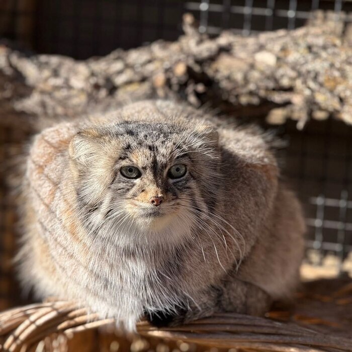 � ���� �� ����������)))