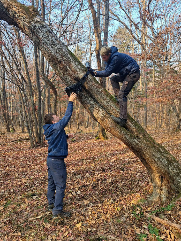 ���� ������ � ������ ��������� ������������� ����������� � ����������� ��������� �����