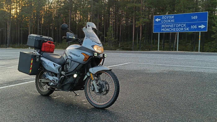 Верный товарищ