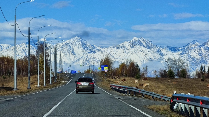 �������, ���������� ������