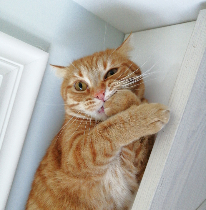 � ��� ��� ���� ���� ����������, ��� �� �� ����� � ������ �������������� / HR, ������� �� ���������� ������� ������� ����������� ������ � ����������, � �� ����� � � �����������...