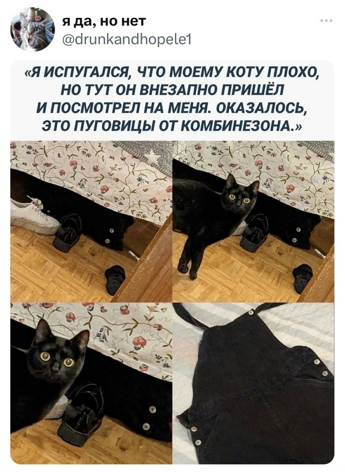 БЕЛЯШИК, УГОМОНИ РАИСЮ!!!