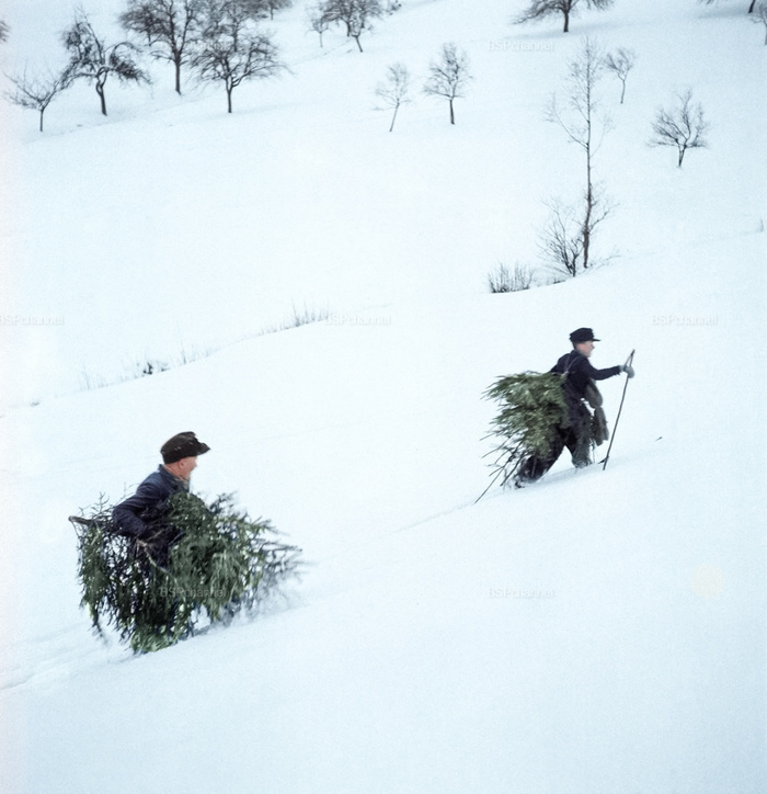 ����������: ���� �������