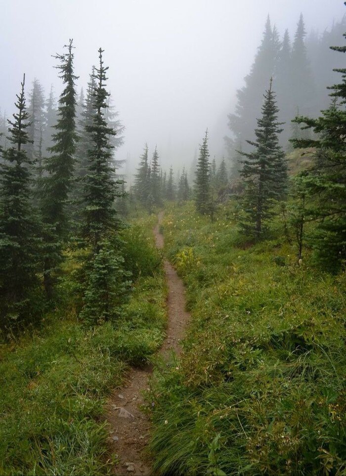 ������� �������� ������. ��� ������