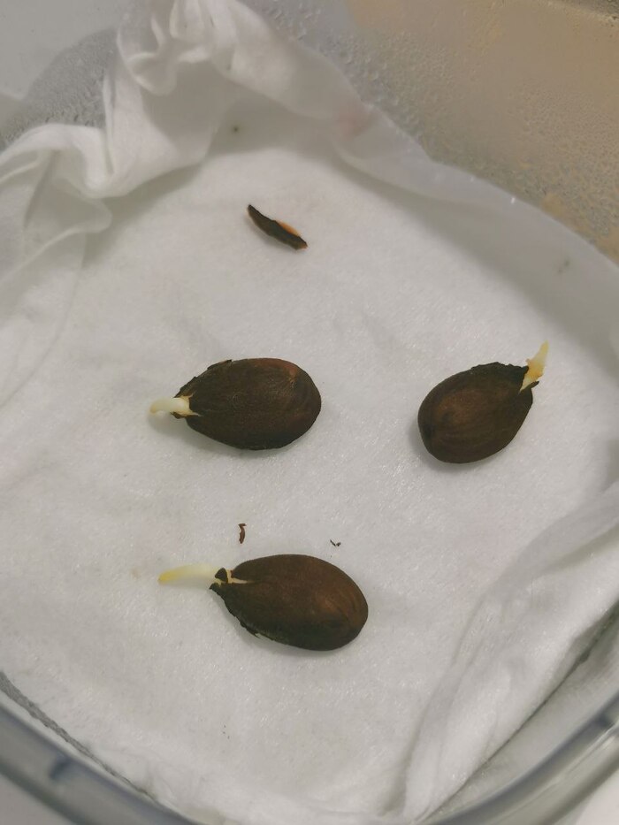 �����, ������� ��������! �� ������ ������ ������ ������ �������-�� ����. :D