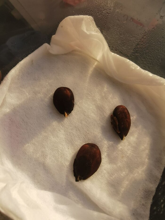 ��������� ���������� � ����� ��������� ������..