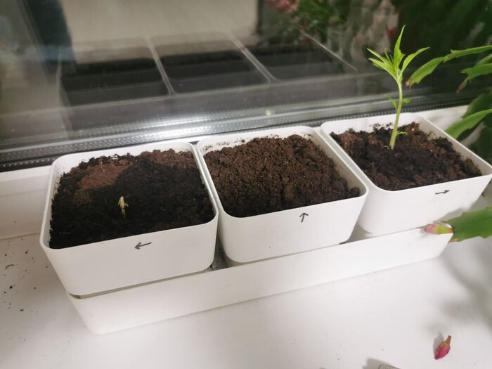 � ���������� �������� �� �������. ����� ���� ������� ���� �������� ������ - ���� �� ������.