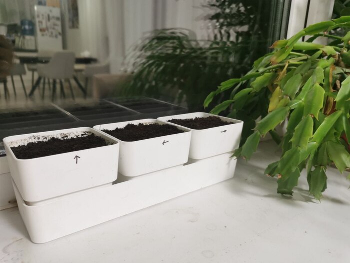 ����������, ����������. ����� �� ����� ����!