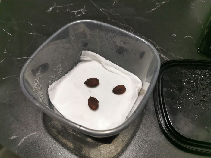 ������� �����!