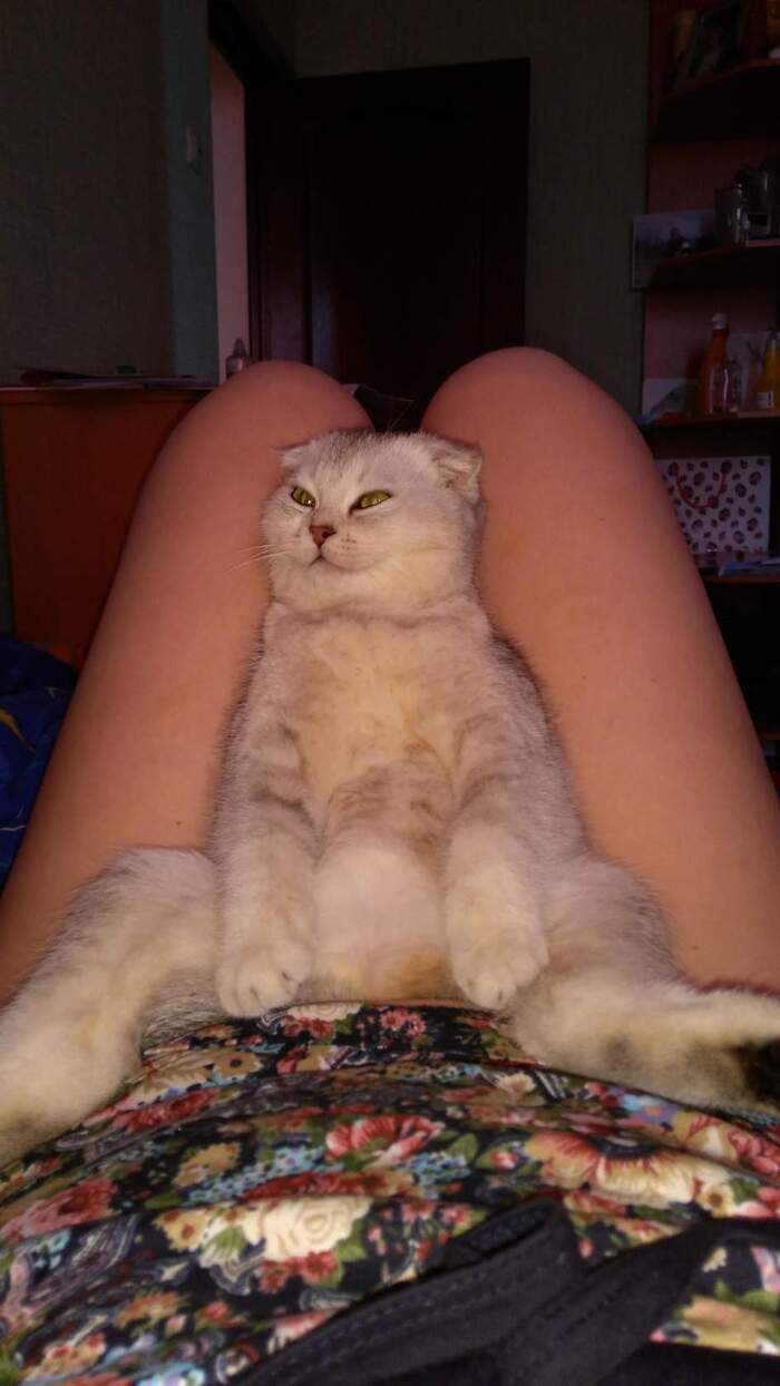 ����� �������-��������� ���� ������