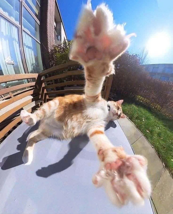 ��� ������