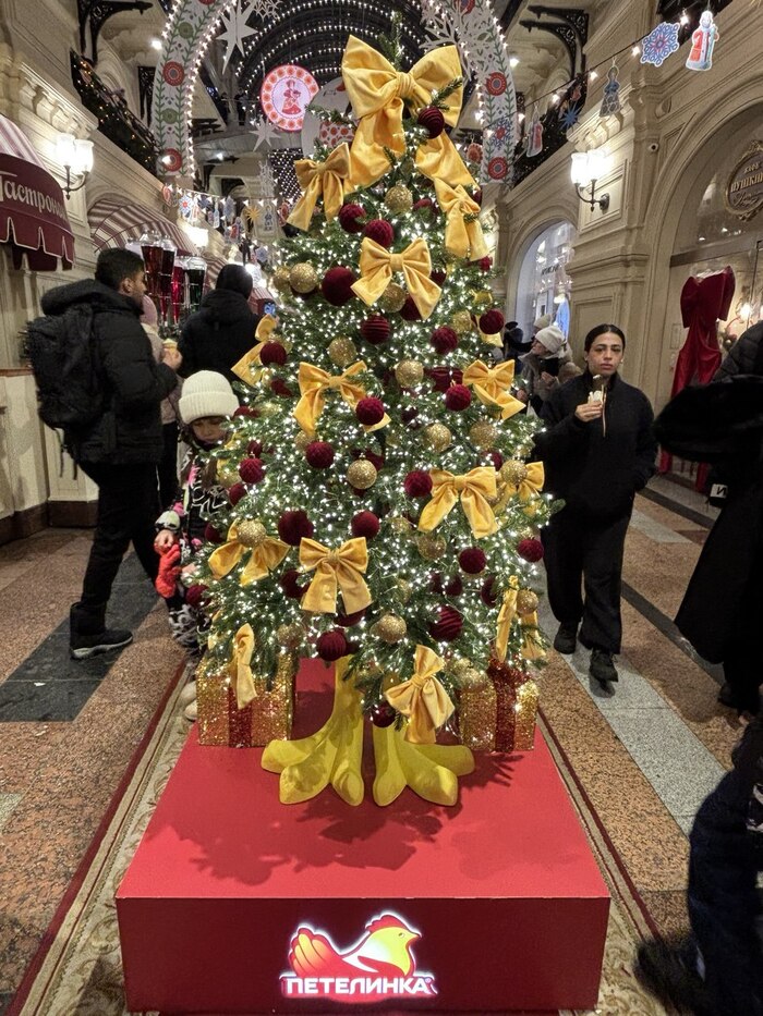 ���� �� ������ ������