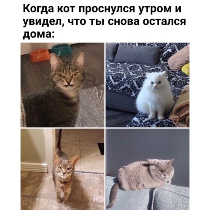 ����� �� ��� ������...