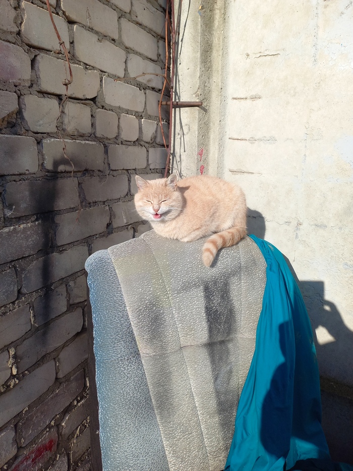 � ����� ���� ���� ������� ��� � ���� ����