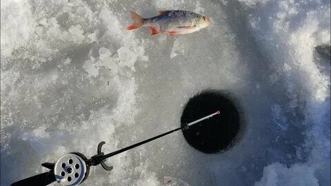 ��� ����� ������� ��� ������ �������?