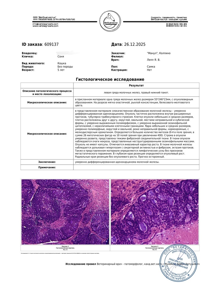 ���������� ����������