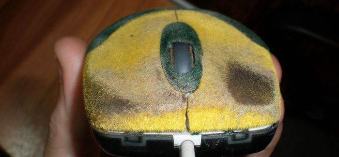 ���� � ������ �� �����, �� ����� ���������� ����� ������� ����� �� ������