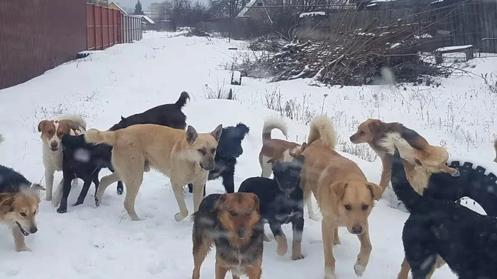 � ����-���� �������� ������ ������ �� 10-������� ��������, �� � ����������