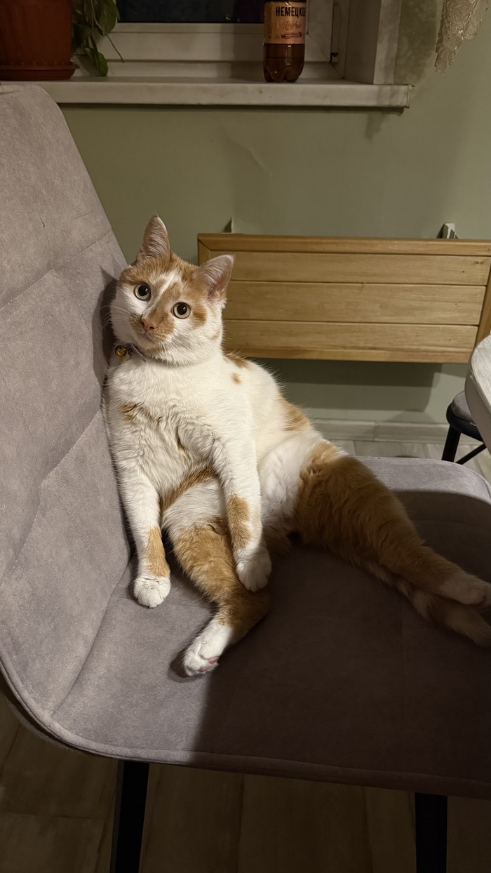 � ������� ������� ����� �������?