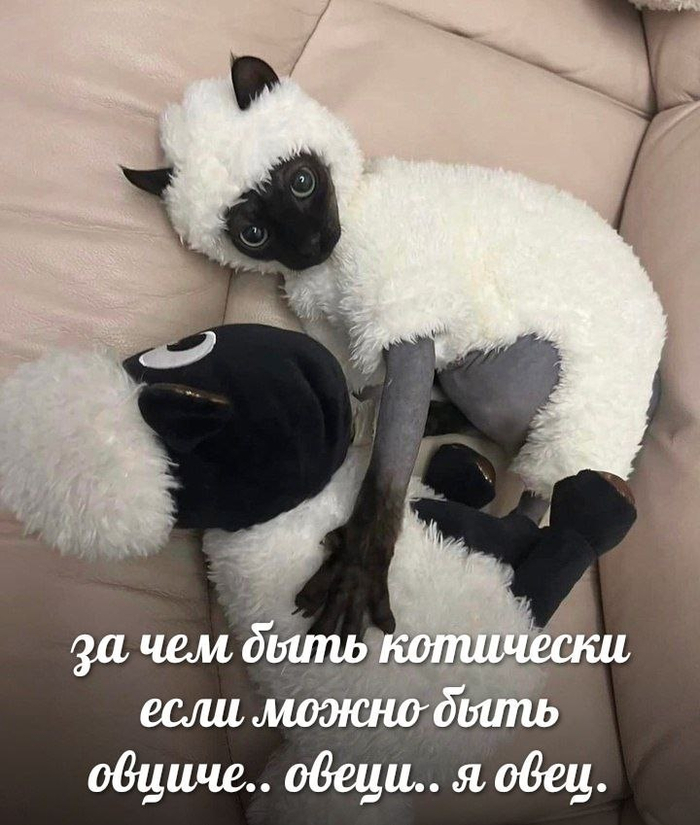 ���������� �������