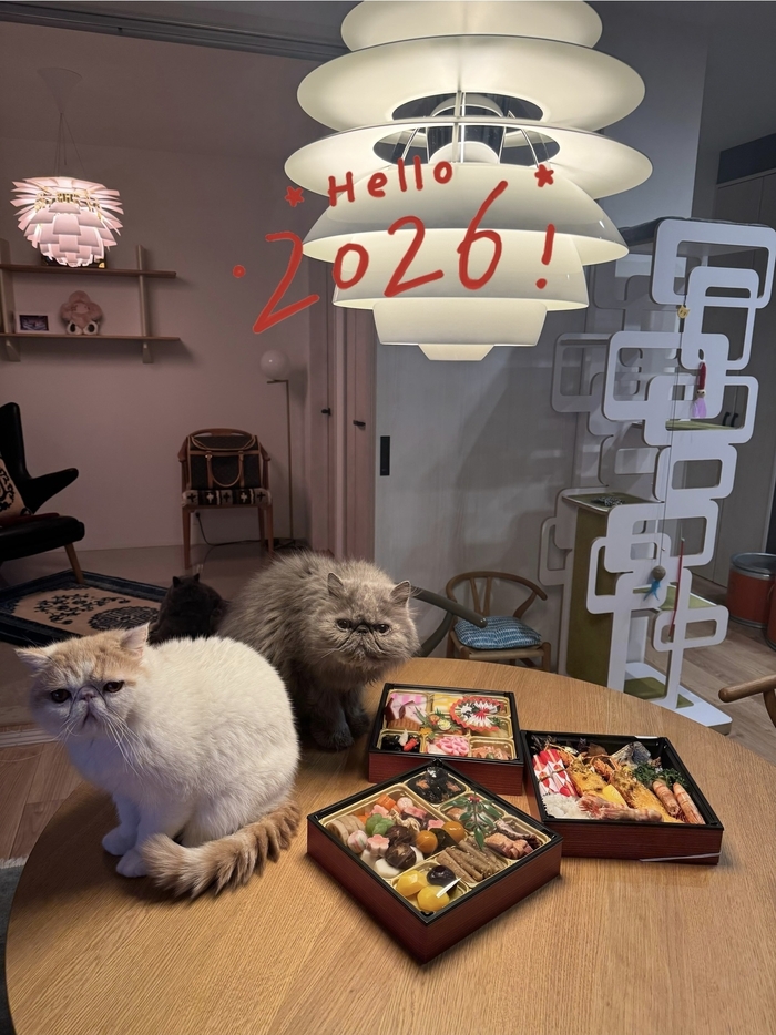 ���� ���