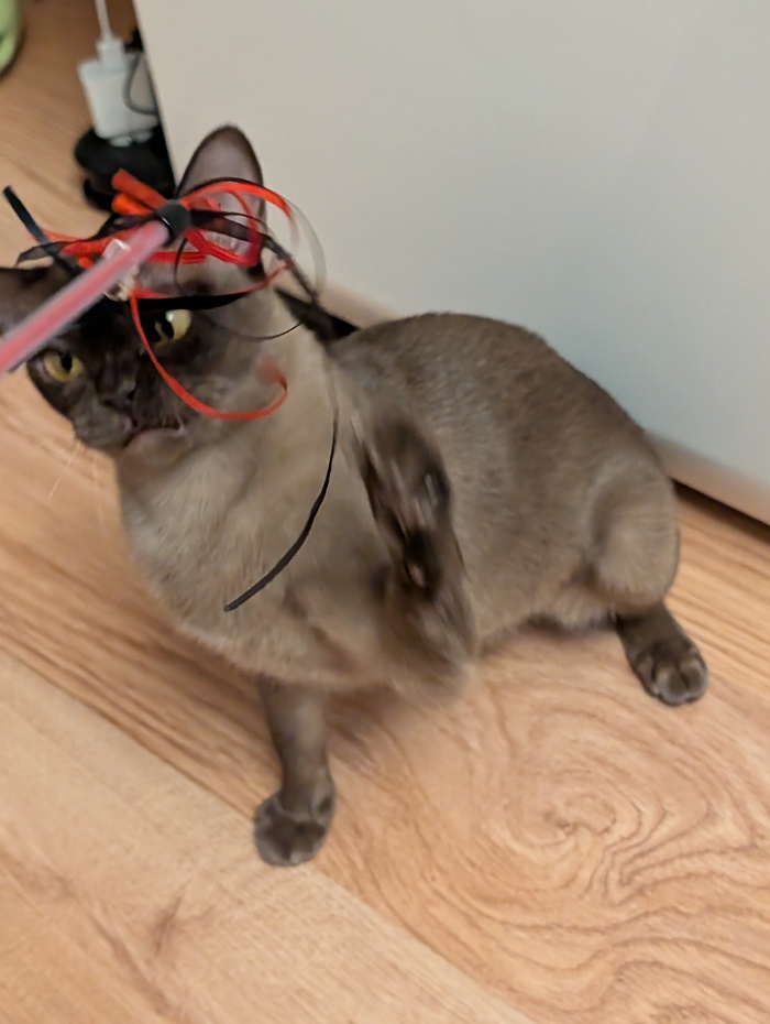 � ������ �������� �� �����, � ������ ������������.