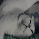 ����� ����� ������ ���� �����������