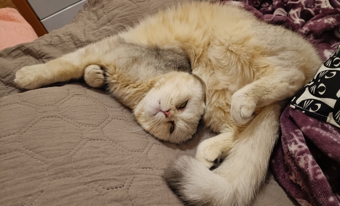 ����� ����������