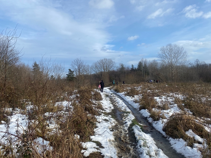 ������ ����