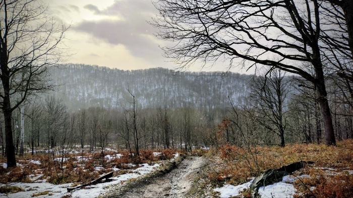 ����: ���� ������