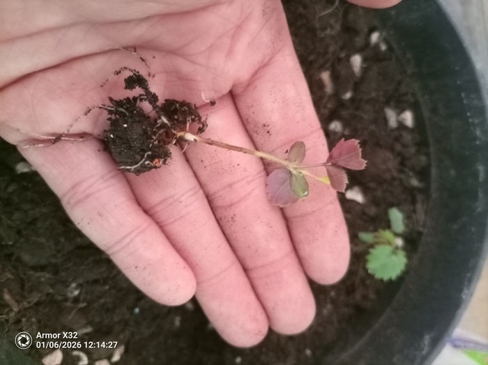 ���� �� �����