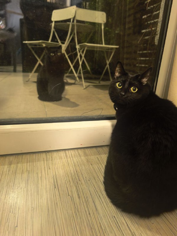 Доппельгангер