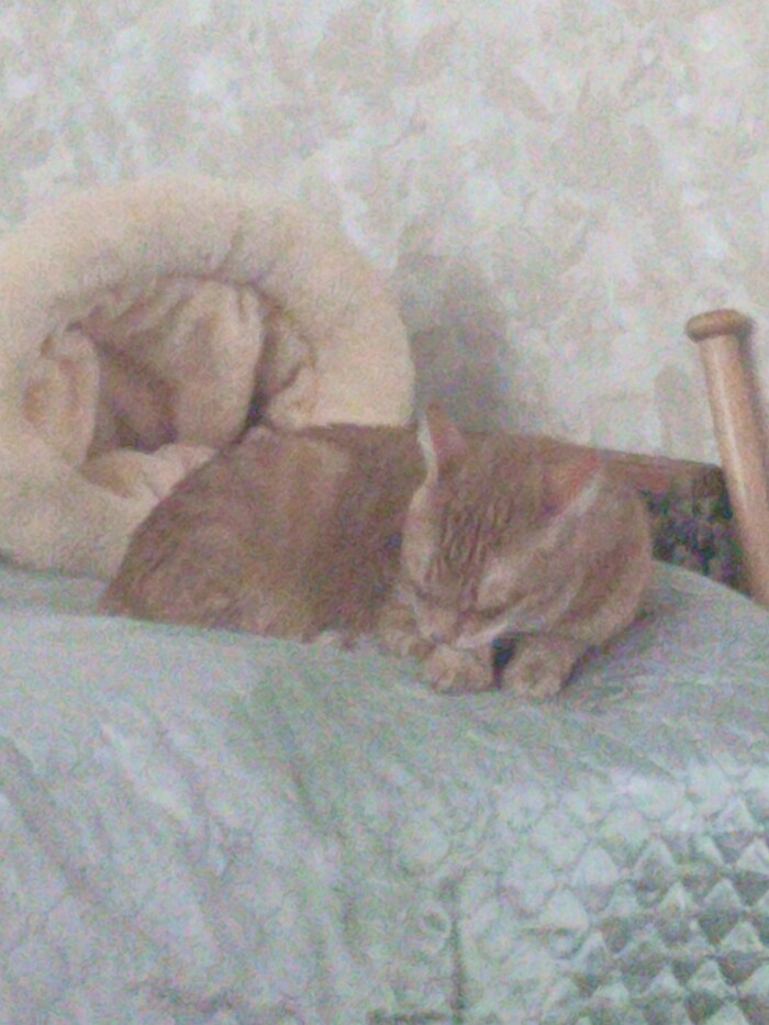 � ����� ������� �������� ��� ����