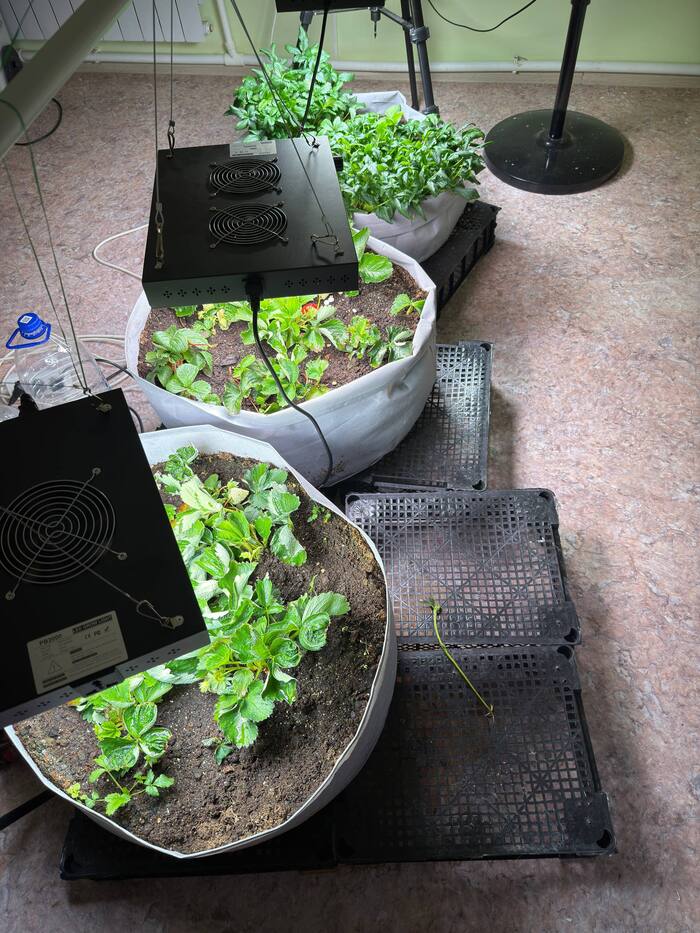 ��� ��� ��� �������� ������