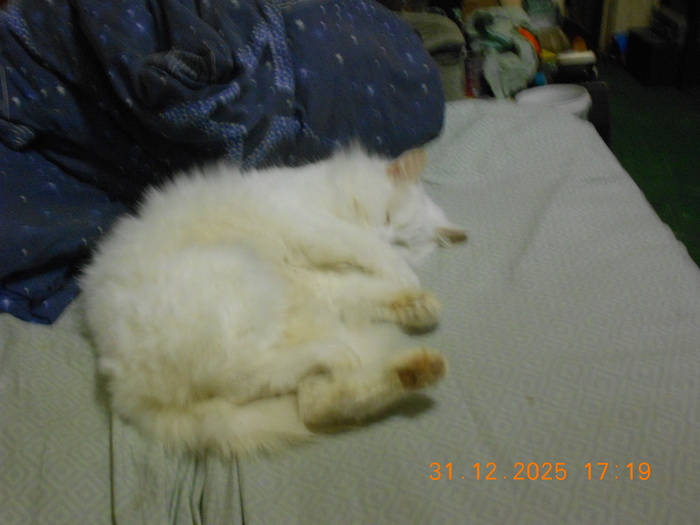 ���� ����!