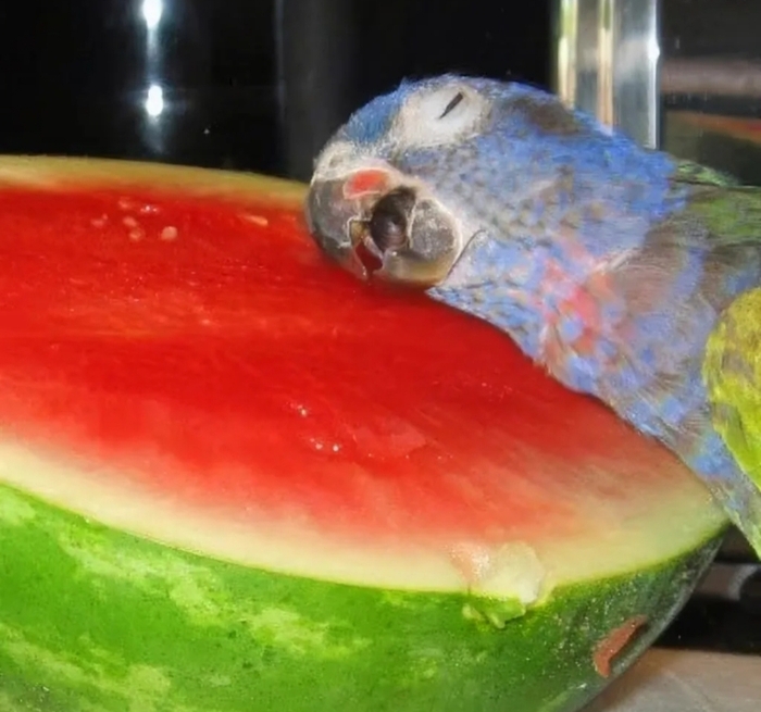 ��� ��, ����