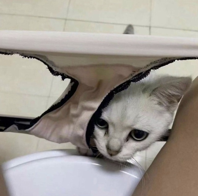 ����� � ��������