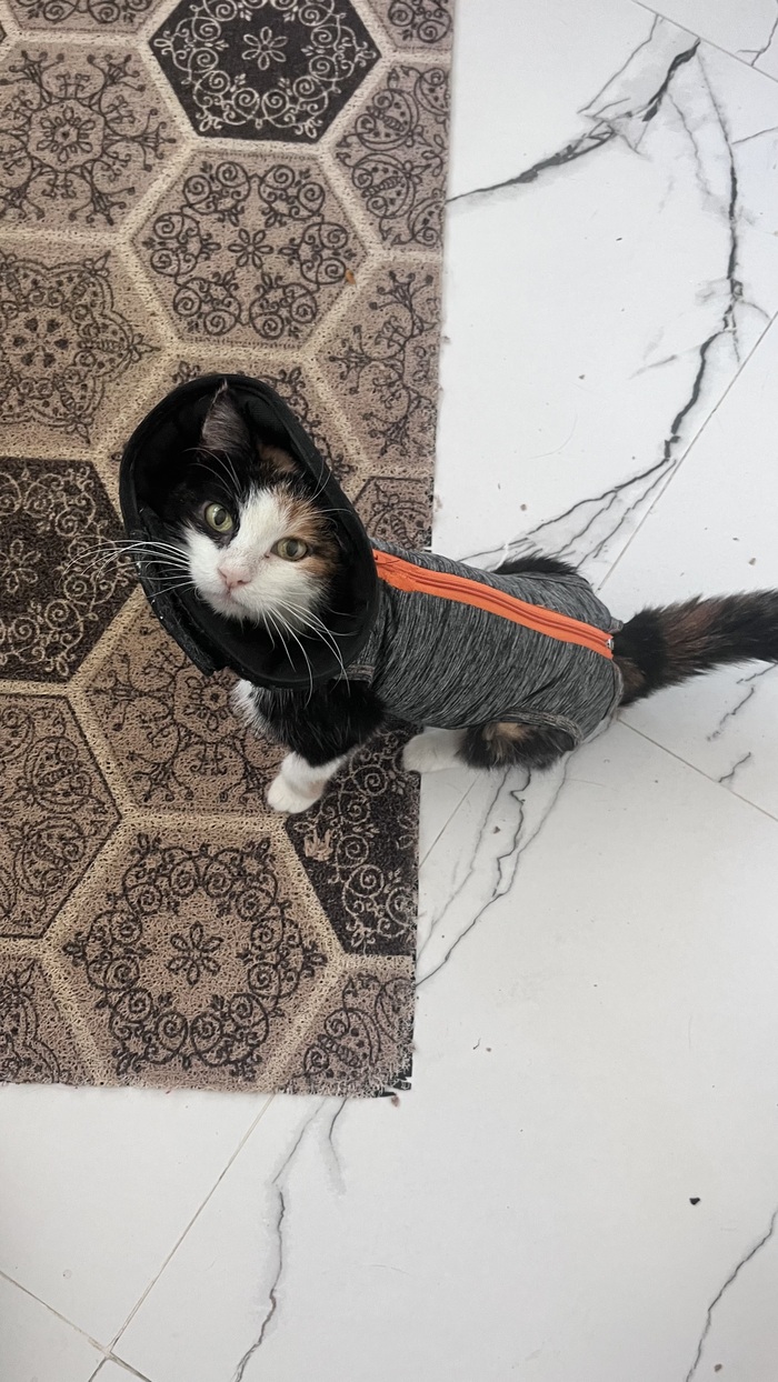 �������� ���������� ����� �������� ������������, � � ����������, ��� ����� ������ ������. � ������, ������������ ������. ������ ����� ����� ��� ���������. ������ � ������. ������ ������ ����� �� ������ ����� ���������. � �������� ������. 