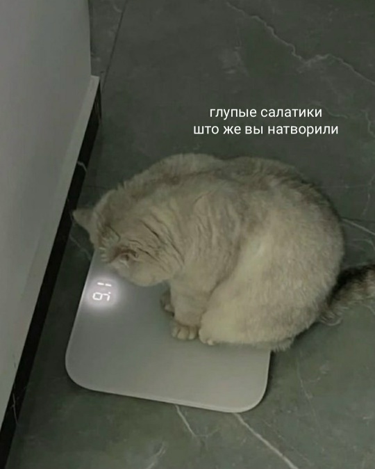 ������� ������ �������� ��������� ����� (�.1)