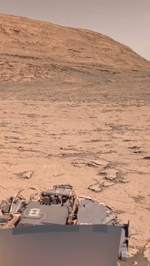 ���� ������������