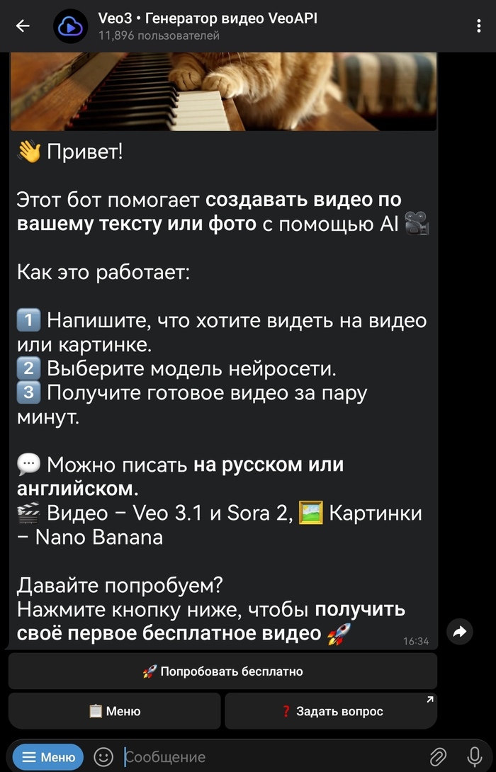 Первый запуск <a href="https://pikabu.ru/story/kak_sgenerirovat_video_s_pomoshchyu_veo3_besplatno_i_bez_vpn_13574749?u=https%3A%2F%2Ft.me%2Fveo_official_bot%3Fstart%3D5160835292&t=veo_official_bot&h=d0288de51a4271181919d699d9e3c320959bea02" title="https://t.me/veo_official_bot?start=5160835292" target="_blank" rel="nofollow noopener">veo_official_bot</a> — приветственное сообщение