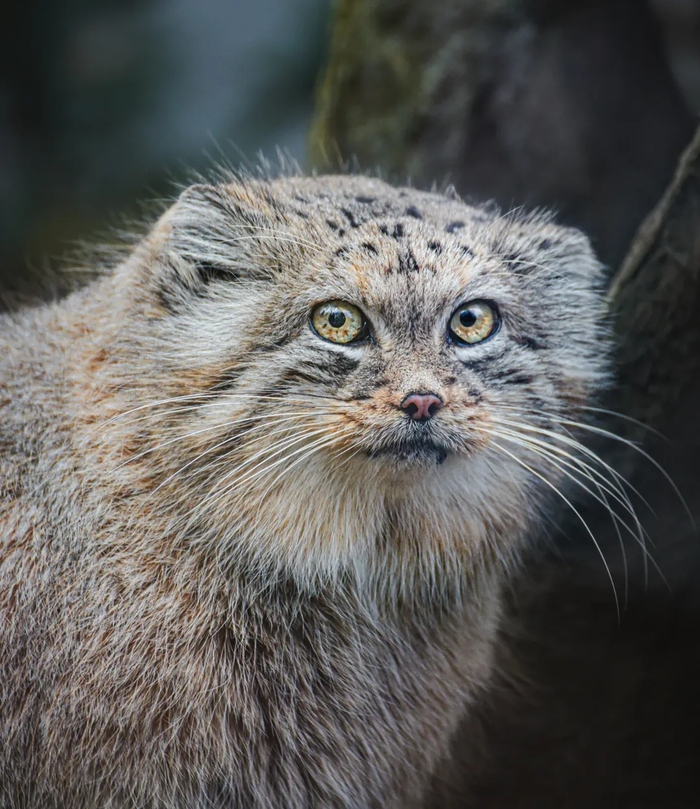 �������� � ���������� �������