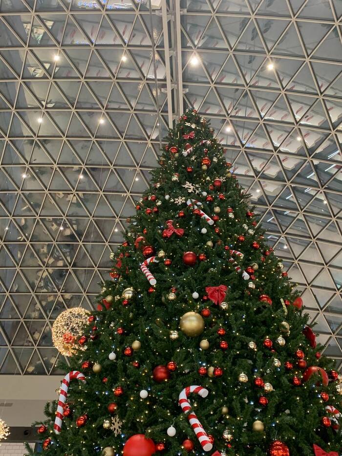 166 ���� ������� #109