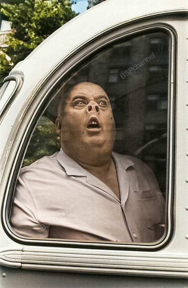 ��������: ������� ������.