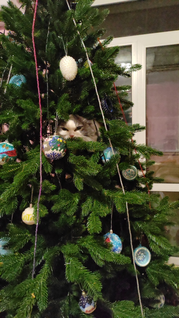 ������� ���� ���-�� ��������� ��� ����������. ����� �� ����. 